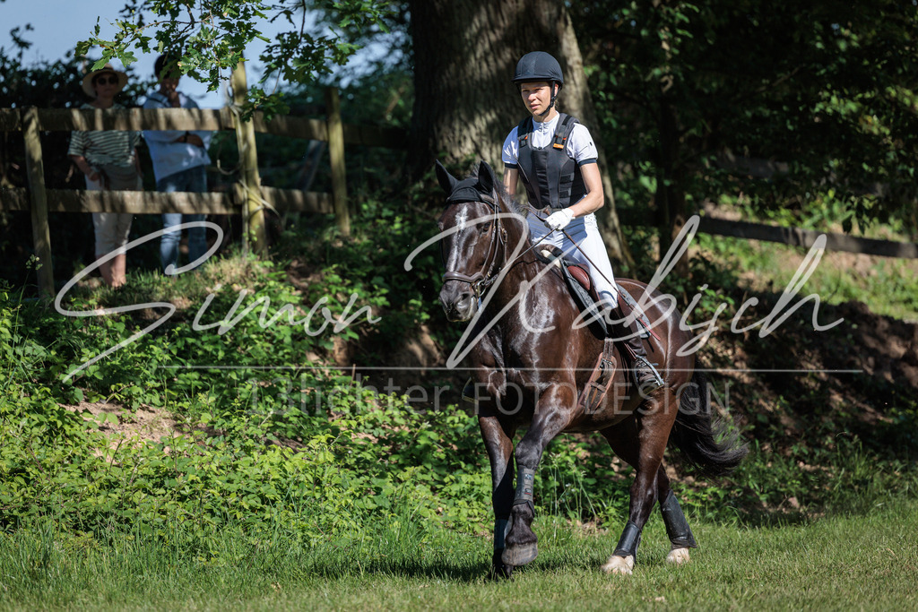20260523-_3LI7048 | Tierfotografie Pferde, Hunde, Katzen, Haustiere.
Turnierfotografie Reitturniere, Reiten, Springreiten, Dressur in Hanau, dem Main-Kinzig-Kreis und dem Rhein-Main- Gebiet um Frankfurt