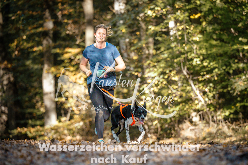 1101_ZZ91372 | kk-dogfotos