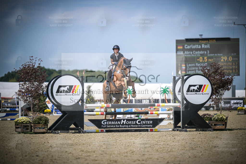 DOS_3895 | Entdecke hochwertige Reitturnierfotos von Foto Oger. Professionell, emotional und authentisch – jetzt Lieblingsmomente im Shop bestellen. - Realisiert mit Pictrs.com