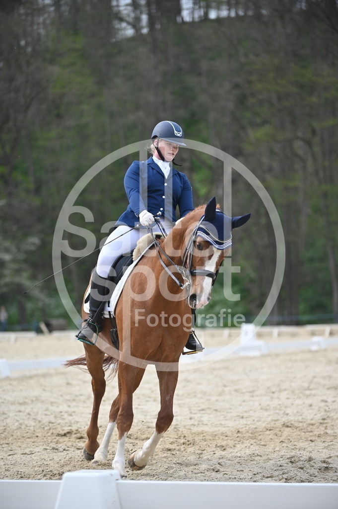 DSC_5045 | sattelsport - Realisiert mit Pictrs.com