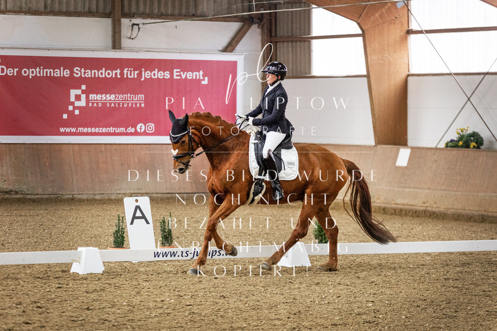 IMGT7021 | pl-fotografie