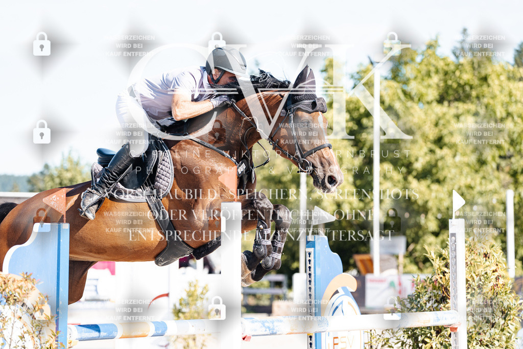 CK904894 | Turnierfotografie Pferdefotografie Trier Rheinland-Pfalz Pferdesport Reitsport Tierfotografie Sportfotografie Pferdevideo Pferdevideografie Equestrianvideography equestrianphotography  - Realisiert mit Pictrs.com