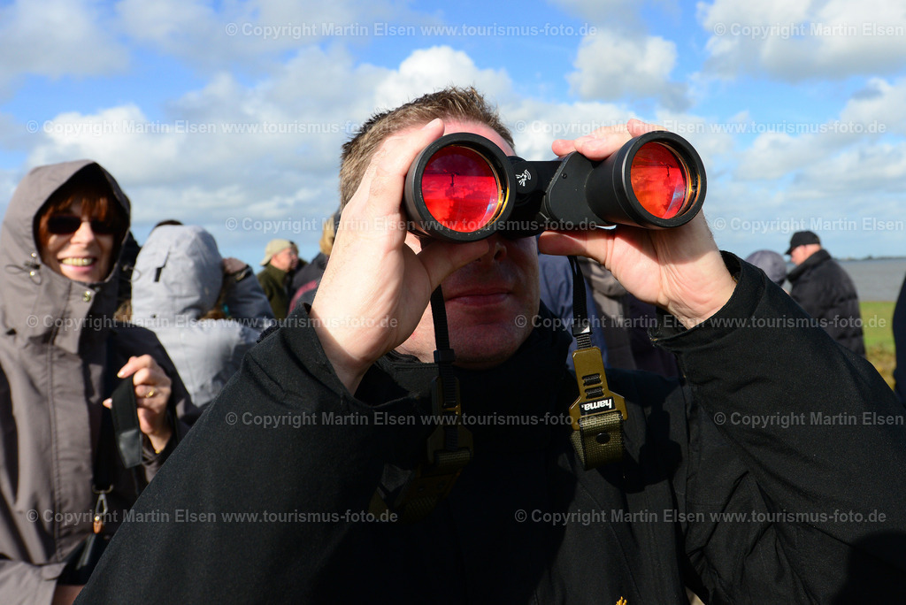Vogelkieker Freiburg_ELS_4269 | Freiburg an der Elbe - Aufnahmedatum: 25.10.2015, Aufnahmehöhe:  m, Koordinaten:  - , Bildgröße: 5086 x  3395 Pixel - Copyright 2015 by Martin Elsen, Kontakt: Tel.: +49 157 74581206, E-Mail: info@schoenes-foto.deSchlagwörter:Vogelkieker,Bus,Kinder,Vogel,Vögel,Gänse,Nonnengänse,Wildgänse,Zugvögel,Außendeich,KVG,Natur,Wildganstage, Foto - Realisiert mit Pictrs.com