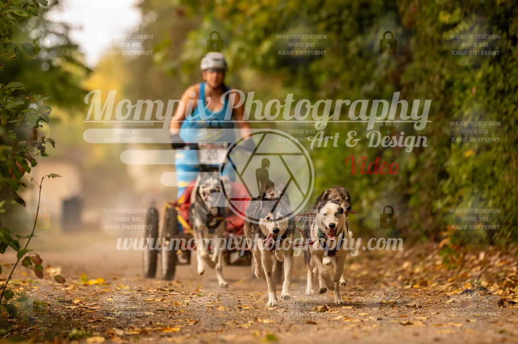 CDLBDB_14_10_2023_Samedi-19 | PayLife