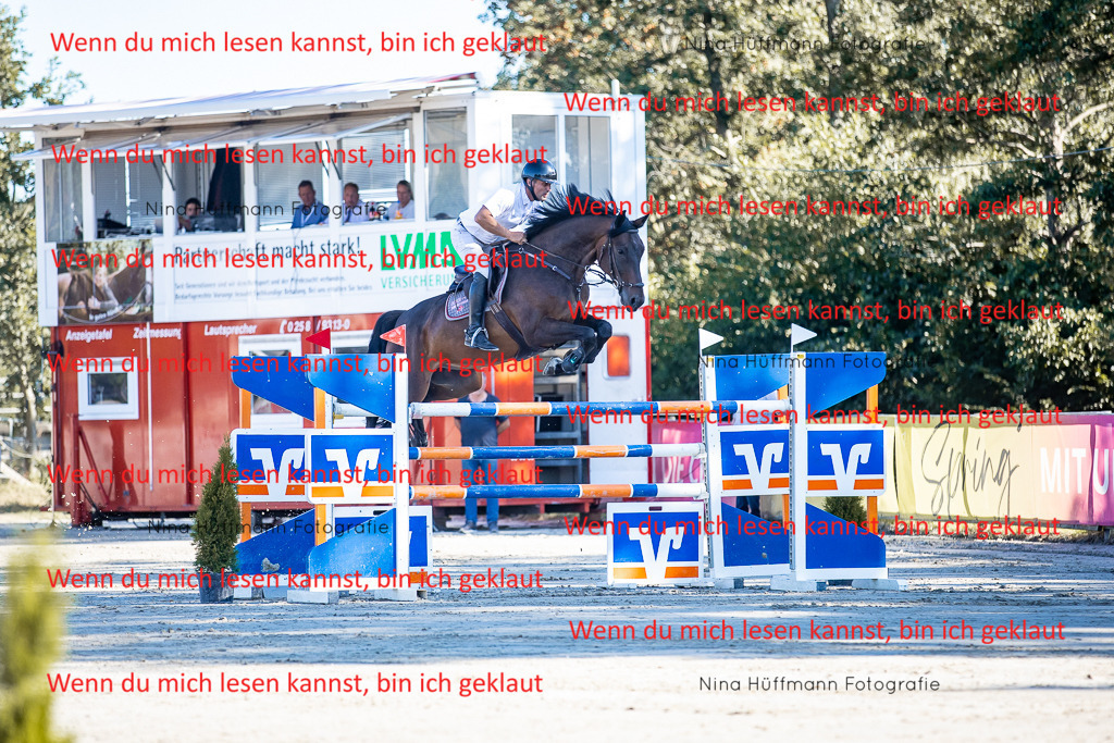 BK1A8116 | Turnierbilder Turnierfotos Nina Hüffmann Turnierfotografie Pferdefotografie Tierzeichnung Haustierzeichnung Pferdezeichnung Hundezeichnung Videograf  - Realisiert mit Pictrs.com