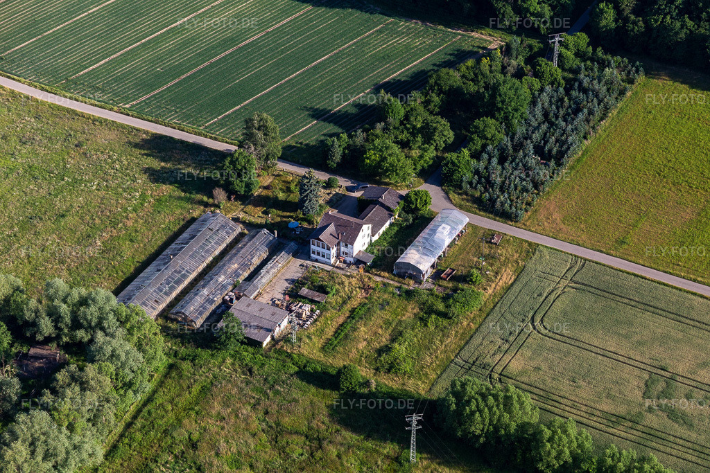 Luftbild: Gärtnerei Erlenhof in Erlenbach bei Kandel im Bundesland Rheinland-Pfalz in Deutschland. Foto: IMG_132368.jpg vom 03.06.2022 durch Werner Riehm/FLY-FOTO.de