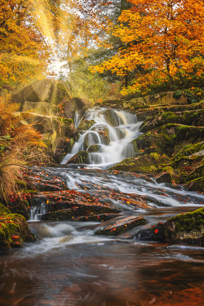 Ilsetal im Herbstkleid | Wir machen aus Ihren Bildern Erinnerungen für die Ewigkeit | Hochwertige Fotografien für Ihr zu Hause. - Realisiert mit Pictrs.com
