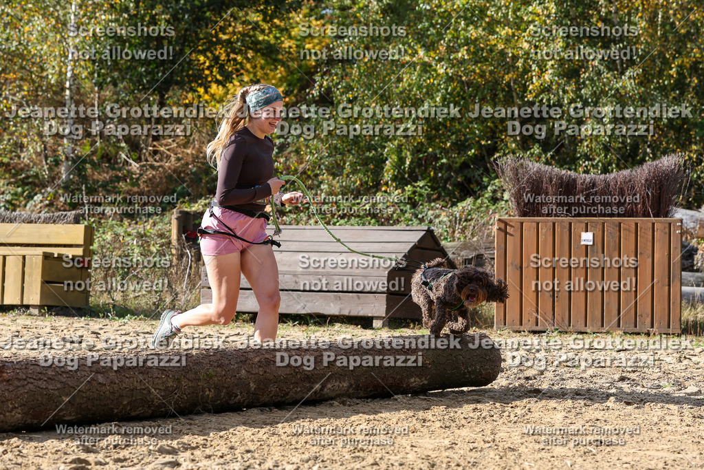 Dog Paparazzi - Strongdog 10-25-5784 | Dog Paparazzi Jeanette Grottendiek Fotografie & Videografie - Realisiert mit Pictrs.com