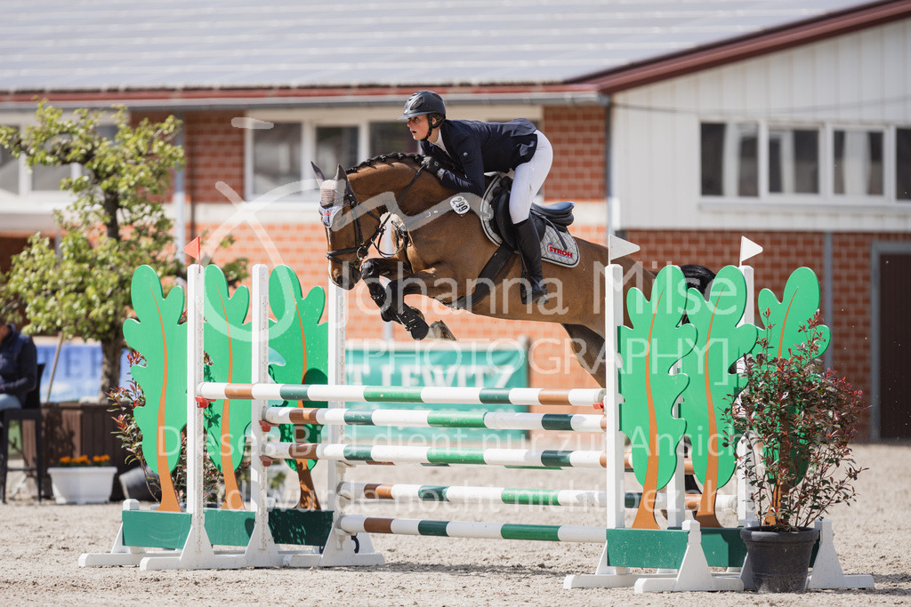 230516_Mühlen_04SprPf-L-463 | Deine schönsten Turniermomente als professionelle Fotos! Entdecke hochwertige Pferdesport-Fotografie im Online-Shop. Jetzt Fotos finden & bestellen!