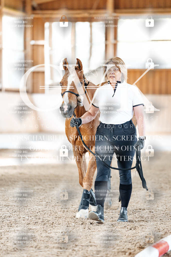 CK905612 | Turnierfotografie Pferdefotografie Trier Rheinland-Pfalz Pferdesport Reitsport Tierfotografie Sportfotografie Pferdevideo Pferdevideografie Equestrianvideography equestrianphotography  - Realisiert mit Pictrs.com