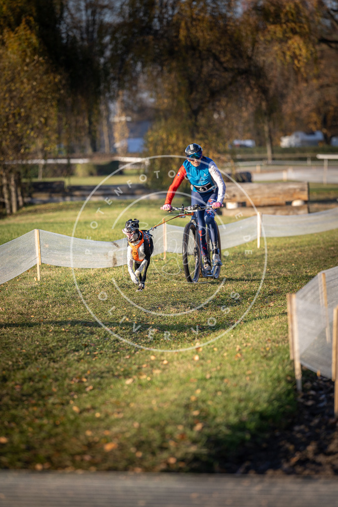 CaniXpix_DV3A0825 | Hundefotografie, Tierfotograf, Pfotenfotografie, Fotoshooting Hund, Hunde Portrait, Hundesport, Hundeportraits, Heideshooting, Hunde, Sportfotograf, Hundefotograf, Turnierhundsport, THS,  - Realisiert mit Pictrs.com