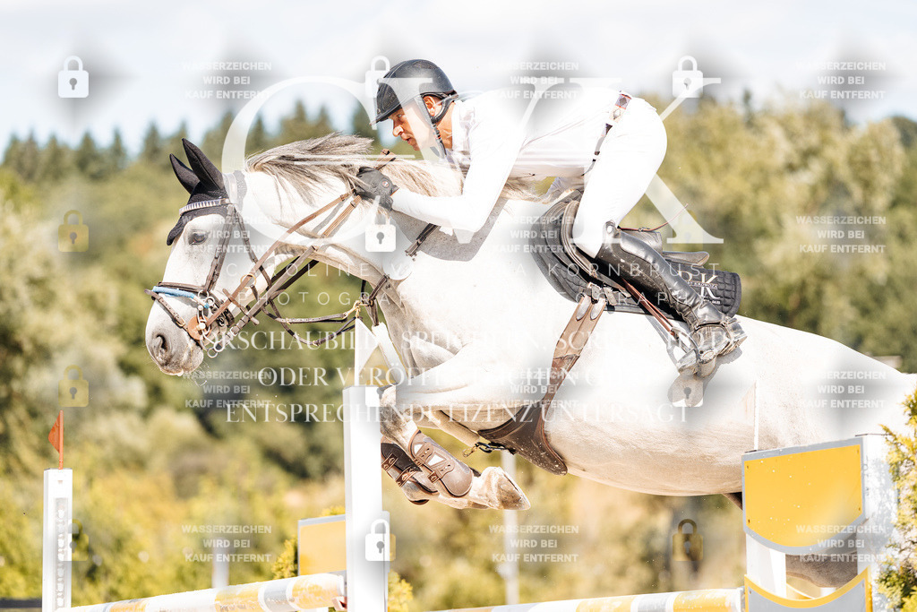 CK909142 | Turnierfotografie Pferdefotografie Trier Rheinland-Pfalz Pferdesport Reitsport Tierfotografie Sportfotografie Pferdevideo Pferdevideografie Equestrianvideography equestrianphotography  - Realisiert mit Pictrs.com