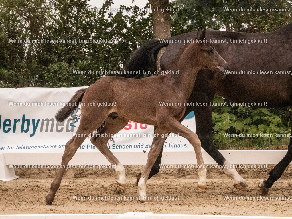 A10I0791 | photographylinaismer - Realisiert mit Pictrs.com