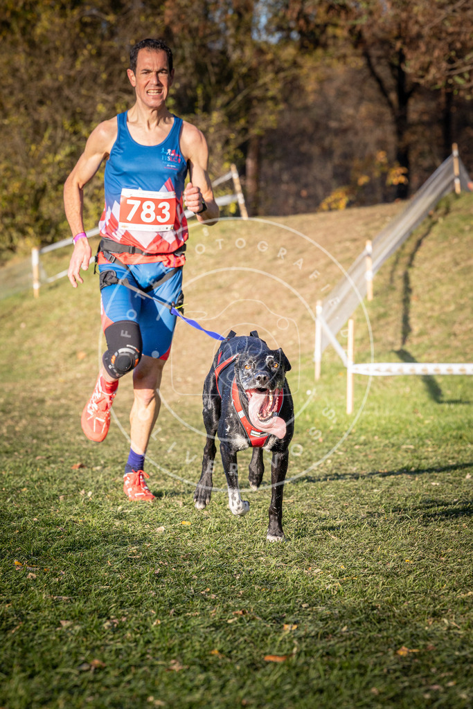 CaniXpix_0L8A0164 | Hundefotografie, Tierfotograf, Pfotenfotografie, Fotoshooting Hund, Hunde Portrait, Hundesport, Hundeportraits, Heideshooting, Hunde, Sportfotograf, Hundefotograf, Turnierhundsport, THS,  - Realisiert mit Pictrs.com