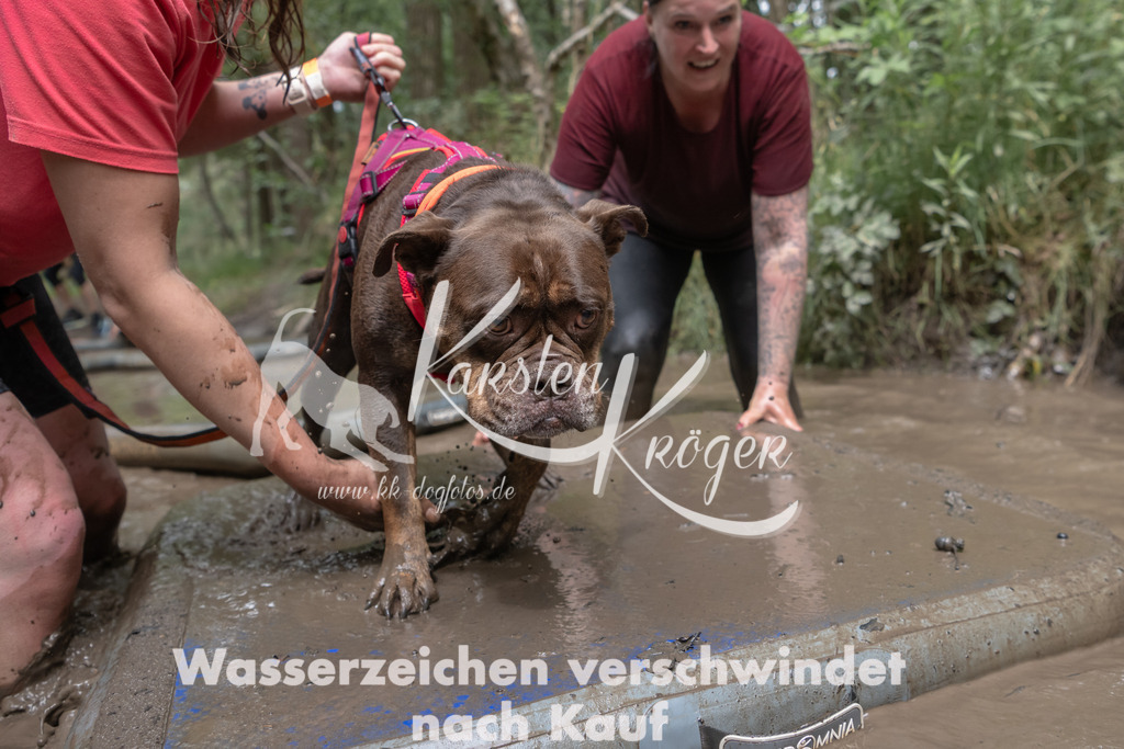 1334_ZZ94733 | kk-dogfotos