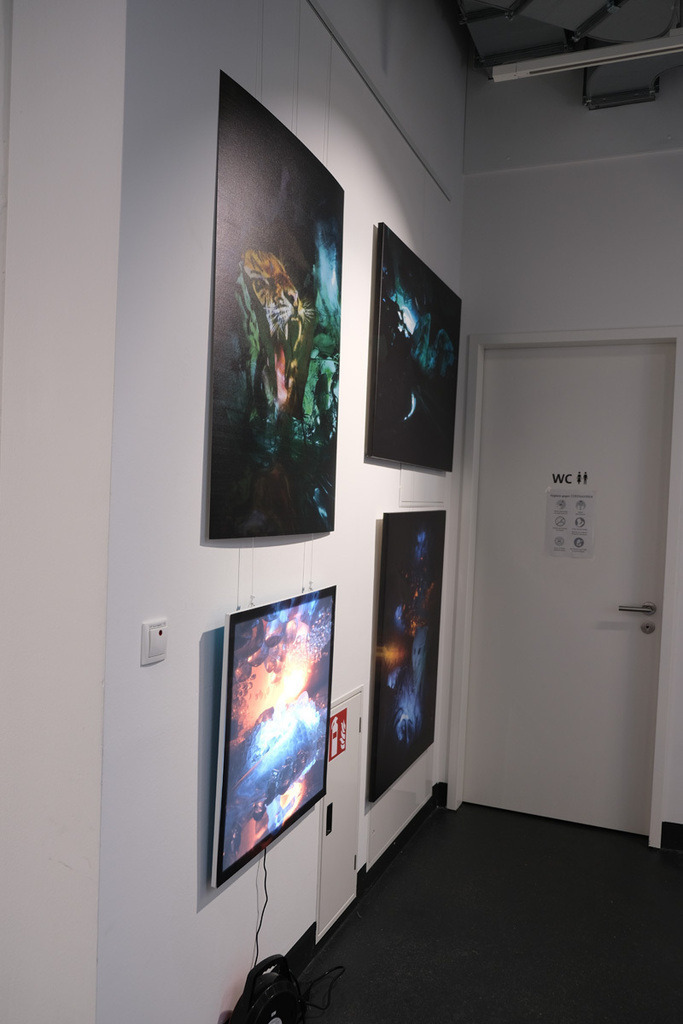 Beispiel für Backlight | Eine besondere Präsentationsform meiner Fotografien sind Backlight-Bilder: von hinten beleuchtet entfalten sie ihre ganz eigene Strahlkraft und Tiefe. Es handelt sich um Sonderanfertigungen – bei Interesse freue ich mich über eine Nachricht per E-Mail:praxis@cornelia-geissler.de - Bild 60x60 cm mit Hintergrundbeleuchtung.  - Realisiert mit Pictrs.com