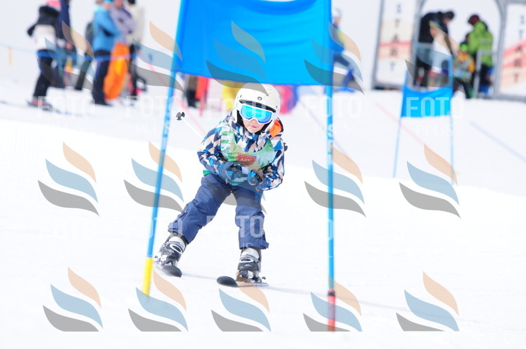 A3729 | holidayphoto