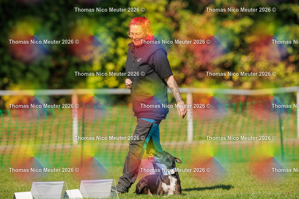 Thomas_Nico_Meuter(C)_04. Oktober 2026_223A2367 | Bild von Thomas Nico Meuter - Realisiert mit Pictrs.com