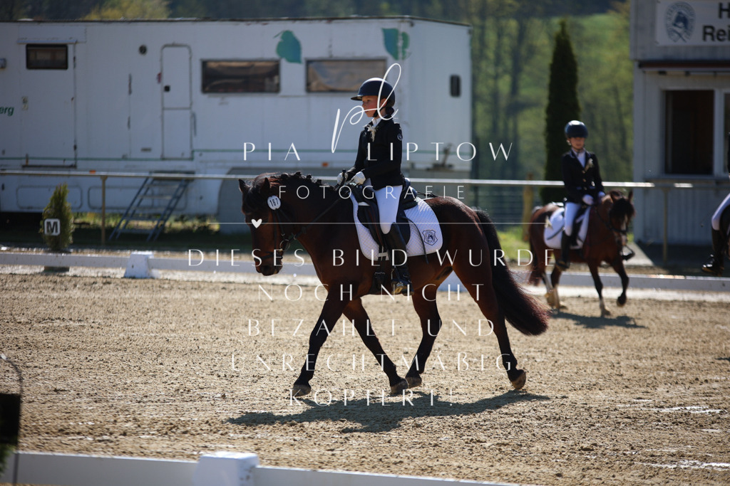 IMGT9538 | pl-fotografie