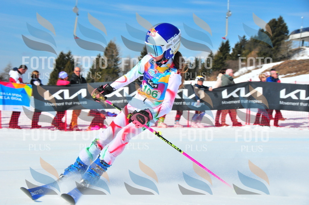 DSC_0785 | holidayphoto