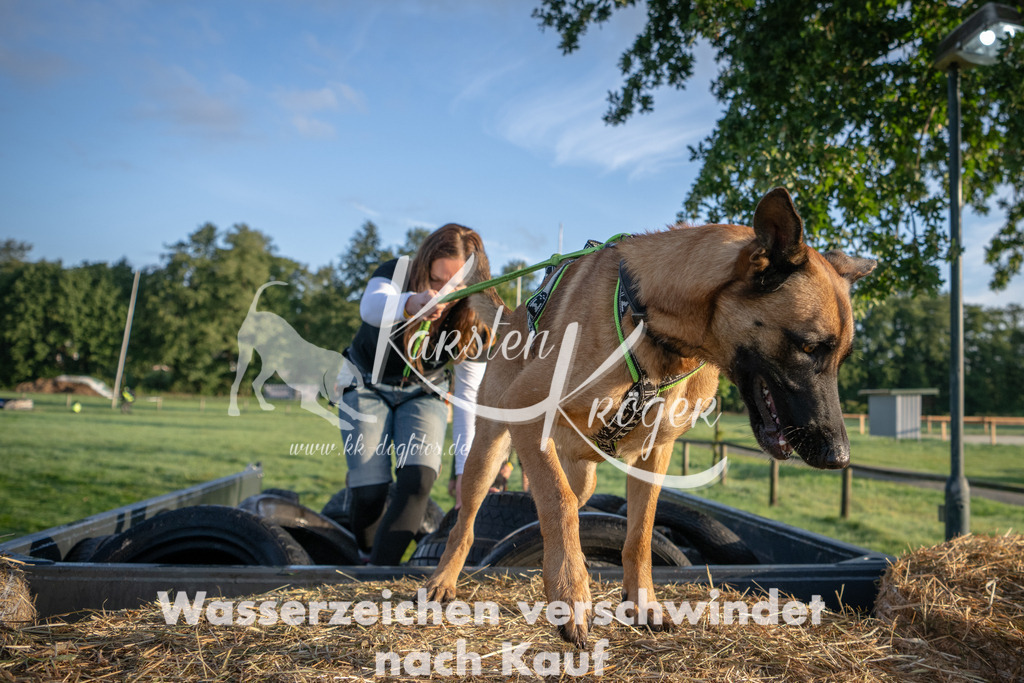 0810_ZZ90529 | kk-dogfotos
