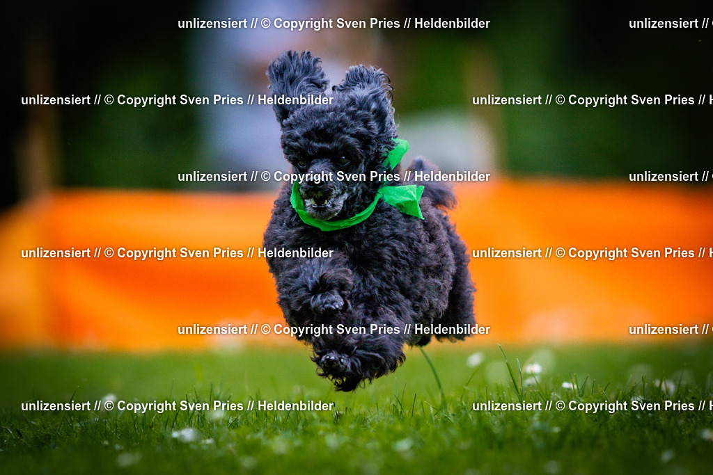 Sven Pries | 2025-05-29 - Pudelrennen KA-Durlach - Realisiert mit Pictrs.com