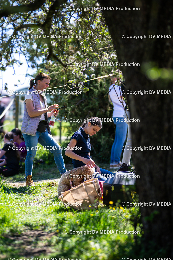 Z91_6185 | dv-media-shop - Realisiert mit Pictrs.com