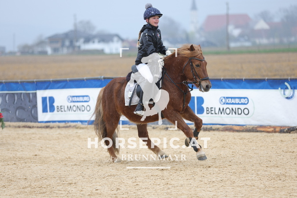 0P6A7271 | Willkommen bei Brunnmayr - Design & Fotografie – Ihrem Spezialisten für Reitturniere und Pferdeveranstaltungen in Oberösterreich, Salzburg und Bayern! Seit über 17 Jahren sind wir leidenschaftlich dabei.