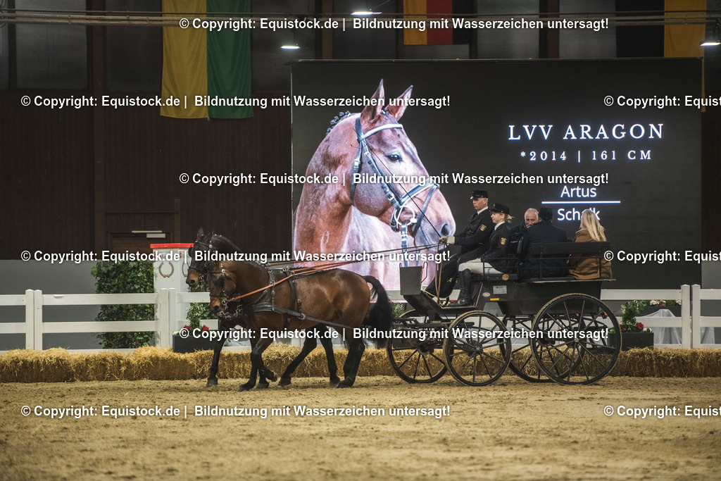 20240302_Hengstvorstellung_Marbach_TOMsPiC_0733 | equistock