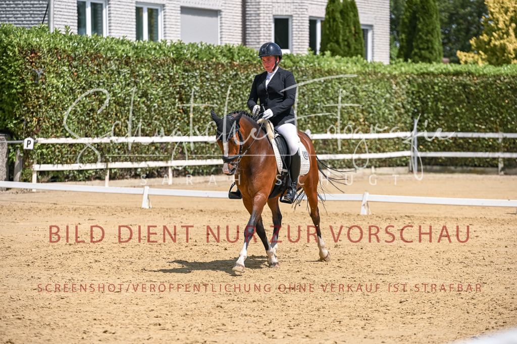 Schugtsche-Aluta25-53.Amat.Dressurprf.A2-468 | Schugtsche Fotografie - Realisiert mit Pictrs.com