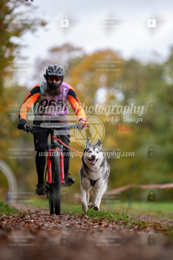 DBT_DAKM_SA_4_11_2023_Bike-93 | PayLife