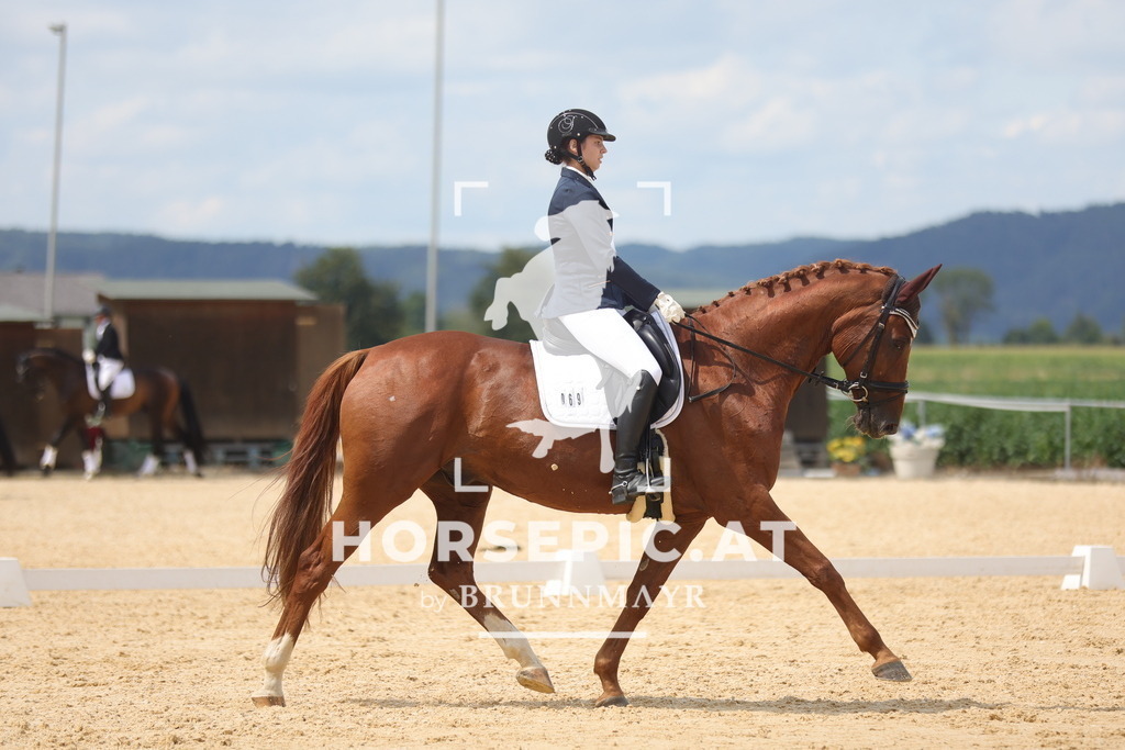 0P6A2340 | Willkommen bei Brunnmayr - Design & Fotografie – Ihrem Spezialisten für Reitturniere und Pferdeveranstaltungen in Oberösterreich, Salzburg und Bayern! Seit über 17 Jahren sind wir leidenschaftlich dabei.
