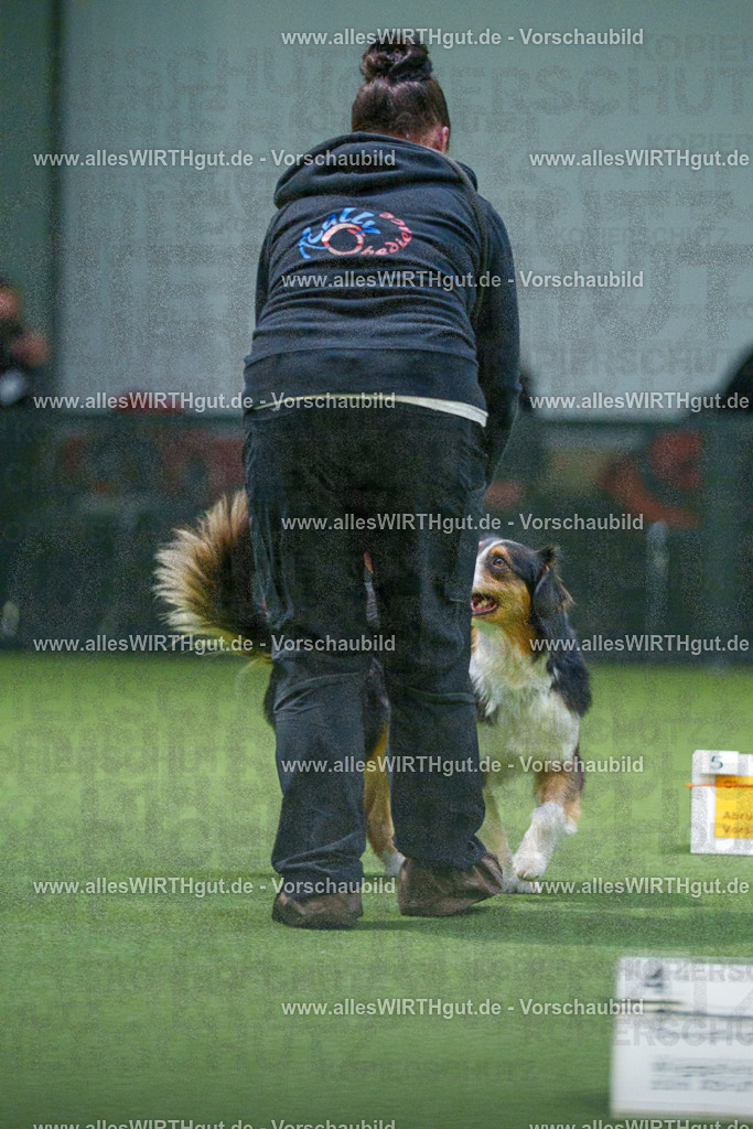 7R506907 | Professionelle Tierfotografie in Mönchengladbach von Daniel Wirth (allesWIRTHgut). Liebevolle & natürliche Bilder von Hunden & Katzen für unvergessliche Erinnerungen.