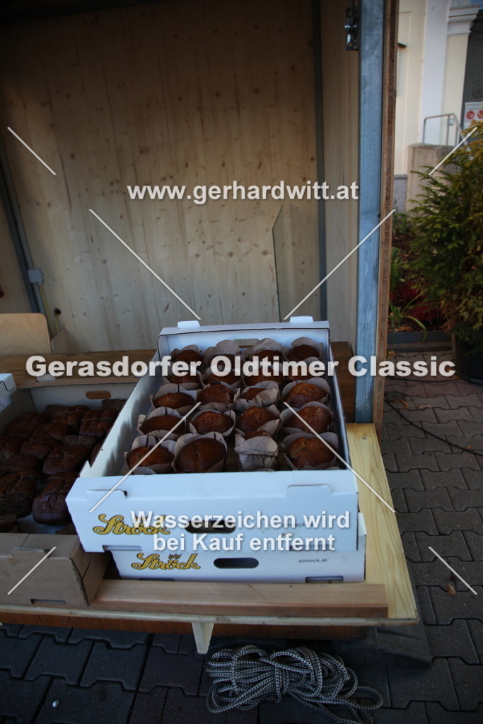 IMG_3780 | Gerhard Witt