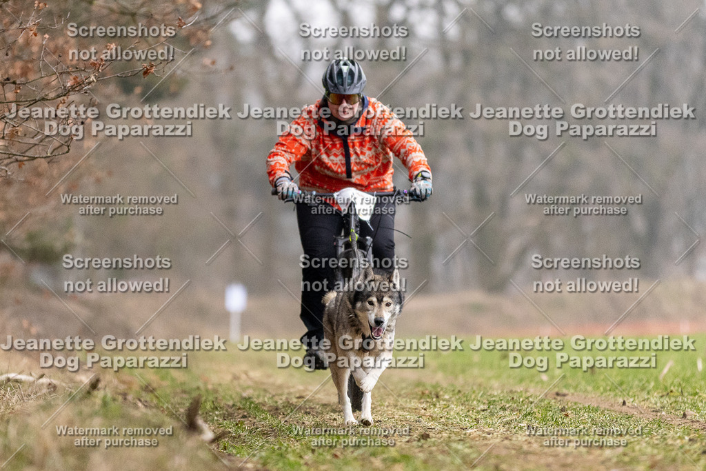 Dog Paparazzi - Plate 2026-12 | Dog Paparazzi Jeanette Grottendiek Fotografie & Videografie - Realisiert mit Pictrs.com