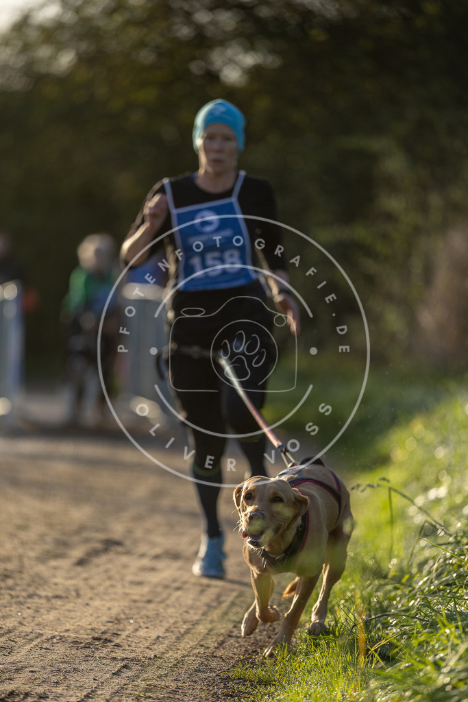 Pfotenfotografie.de_DV3A2561 | Hundefotografie, Tierfotograf, Pfotenfotografie, Fotoshooting Hund, Hunde Portrait, Hundesport, Hundeportraits, Heideshooting, Hunde, Sportfotograf, Hundefotograf, Turnierhundsport, THS, canicross - Realisiert mit Pictrs.com
