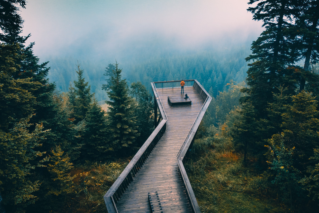 Ellbachseeblick | Die Aussichtsplattform Ellbachseeblick bei Kniebis im Nordschwarzwald - Realisiert mit Pictrs.com