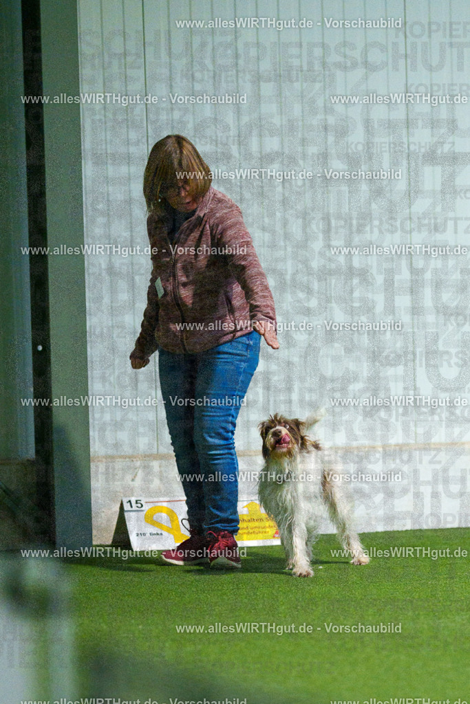 7R502274 | Professionelle Tierfotografie in Mönchengladbach von Daniel Wirth (allesWIRTHgut). Liebevolle & natürliche Bilder von Hunden & Katzen für unvergessliche Erinnerungen.