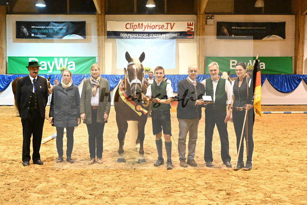 Kat-Nr. 85 Monarchin_Bachmair_53221447 | hf-fotografie - Realisiert mit Pictrs.com