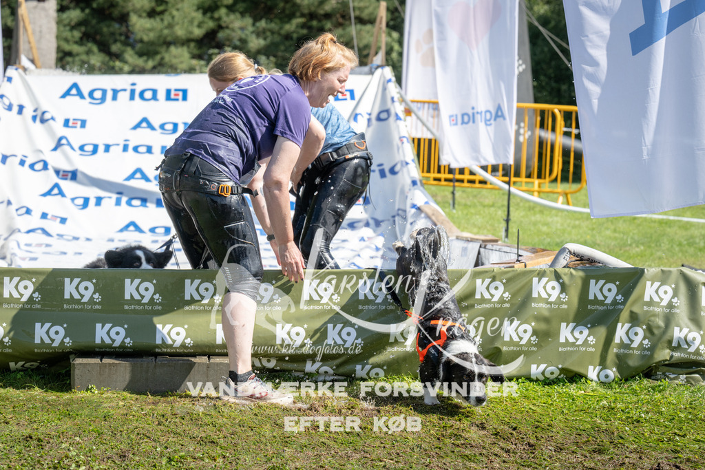 1132_ZZ92497 | kk-dogfotos