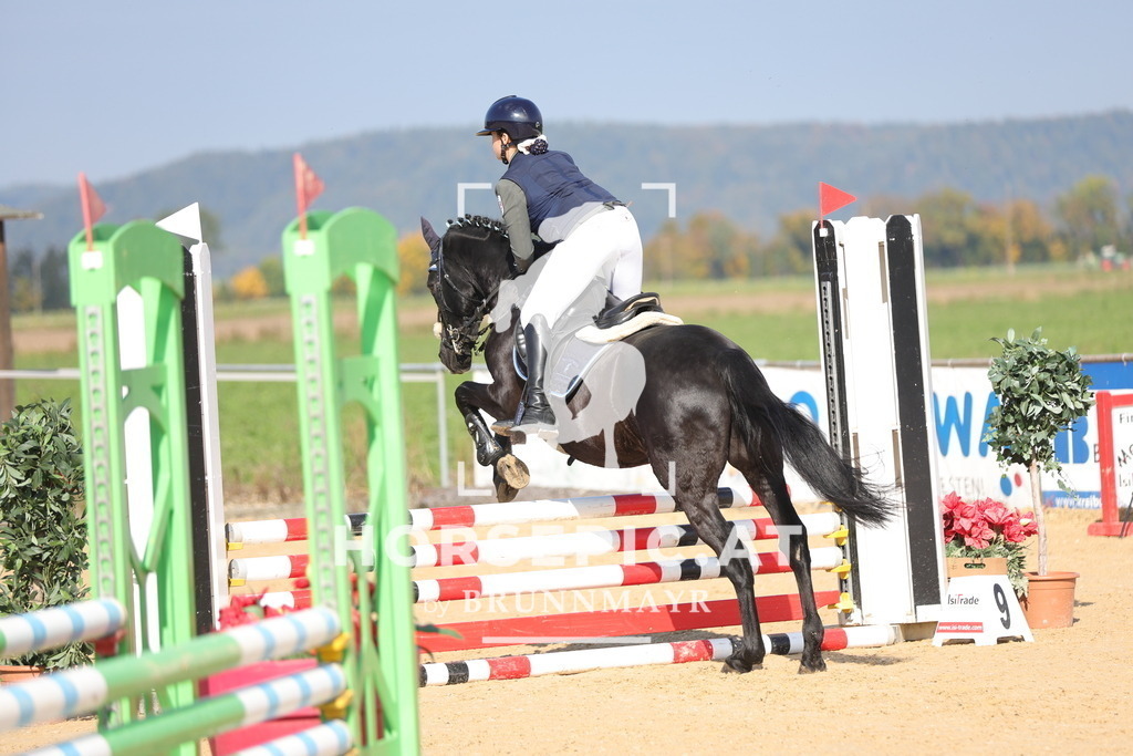 0P6A7953 | Willkommen bei Brunnmayr - Design & Fotografie – Ihrem Spezialisten für Reitturniere und Pferdeveranstaltungen in Oberösterreich, Salzburg und Bayern! Seit über 17 Jahren sind wir leidenschaftlich dabei.