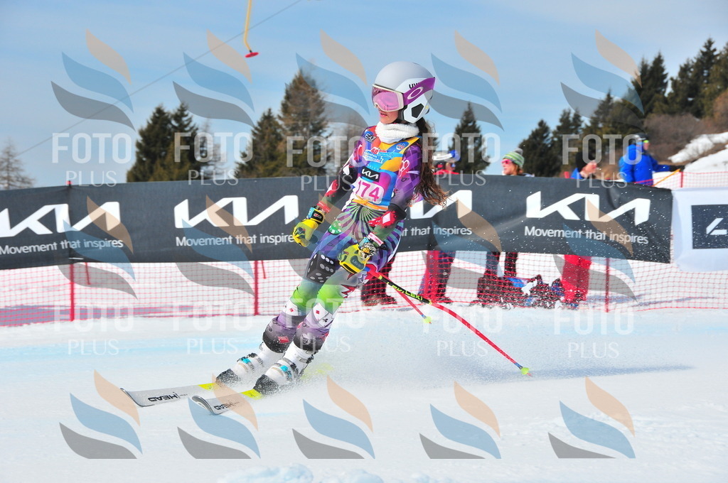 DSC_5301 | holidayphoto