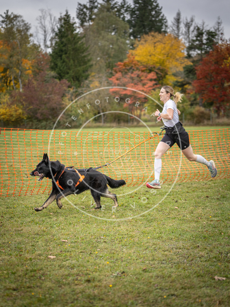 Pfotenfotografie_DV3A3009 | Hundefotografie, Tierfotograf, Pfotenfotografie, Fotoshooting Hund, Hunde Portrait, Hundesport, Hundeportraits, Heideshooting, Hunde, Sportfotograf, Hundefotograf, Turnierhundsport, THS,  - Realisiert mit Pictrs.com