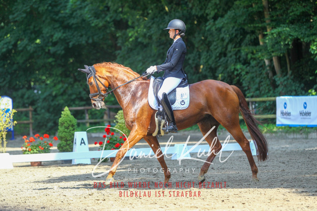 DKP42665 | Turniersportfotografie; Pferdefotografie; Dressurfotografie