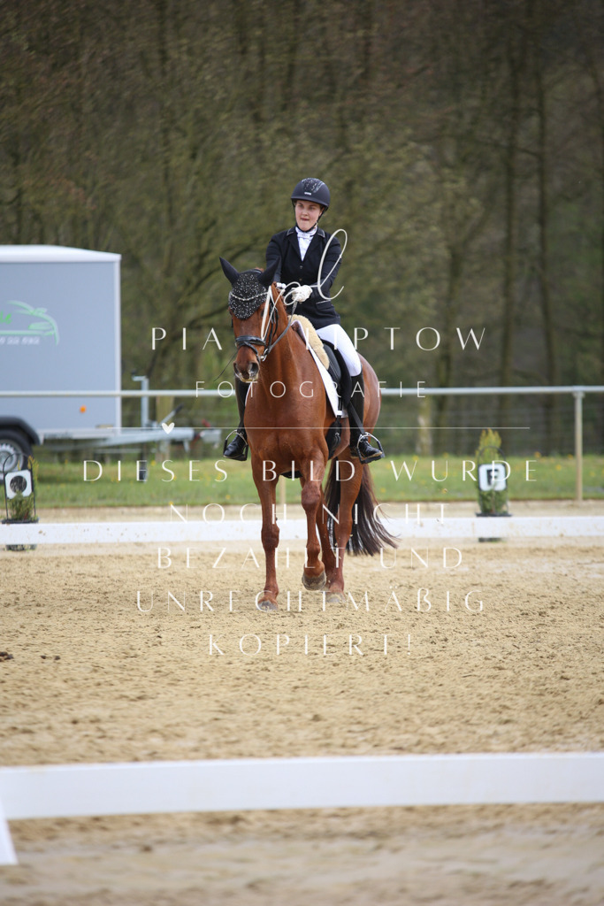 IMGT6711 | pl-fotografie