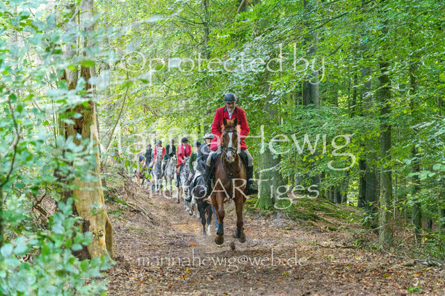 Jagd Perdoel_MarinaHewigMCH04767 | Fotografie, FotoArt, PferdesportArt, Pferdesportfotografie, Landschaftsfotografie, Reisefotografie, Reise, Pferde - Realisiert mit Pictrs.com