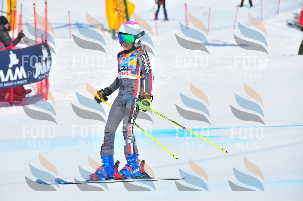 DSC_4450 | holidayphoto