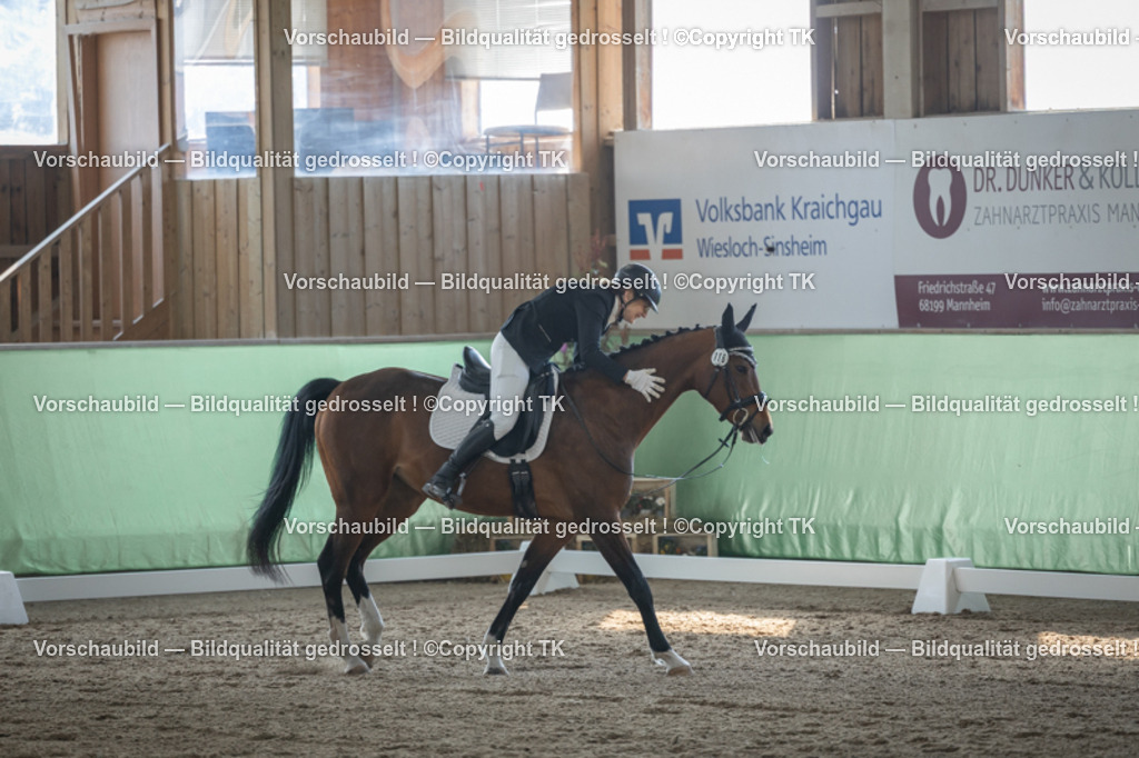 _D5A8459 | Emotionale Pferde- & People-Fotografie rund um Heidelberg, Leimen & Umgebung. Natürliche Fotos von Pferd, Mensch & Familie. Jetzt Termin sichern!