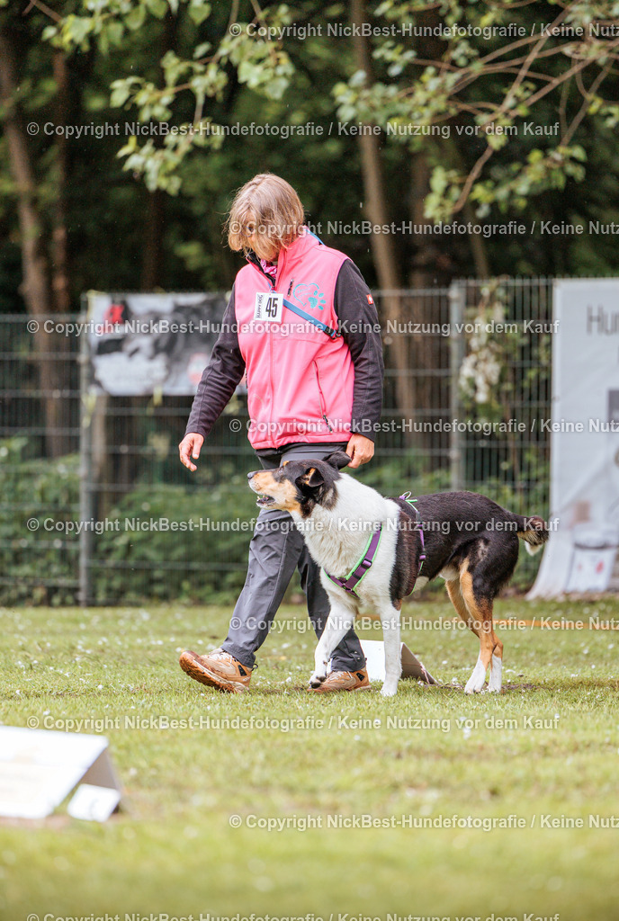 RO-Blumenthal-2026-Nickbest-Hundefotografie-0408 | Dein Hund! Dein Moment! Deine Erinnerungen! Hundefotografie in Bremen Blumenthal. Ich fange die besonderen Momente deines Vierbeiners ein – ob Indoor mit Blitzanlage oder in der freien Natur. Sicher dir dein Moment und dein Termin für eure Erinnerungen.