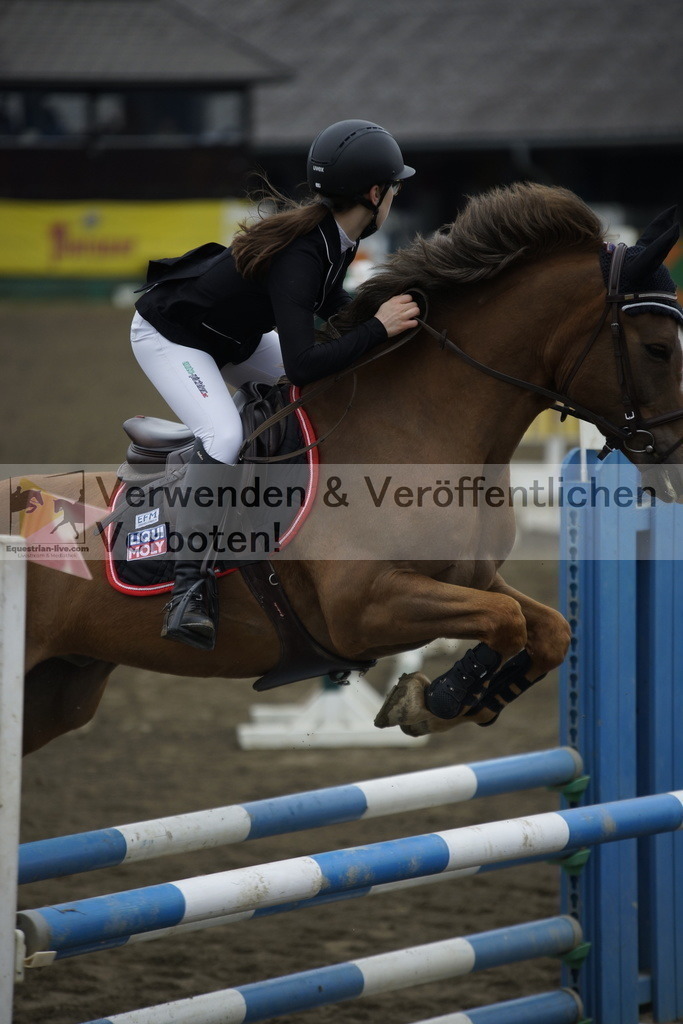 _DSC6852 | equestrian-live-com